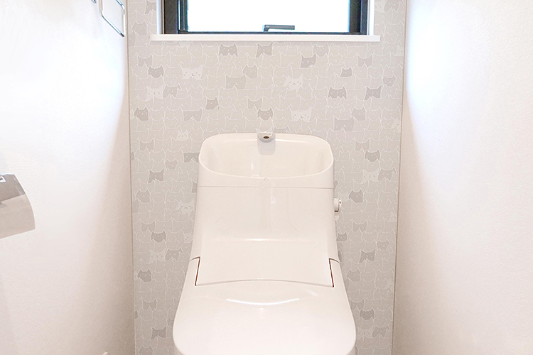 ４、WAS-05 ネコ　IV